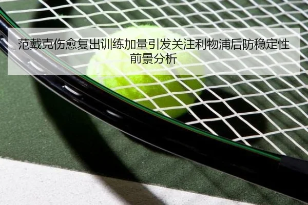 范戴克伤愈复出训练加量引发关注利物浦后防稳定性前景分析