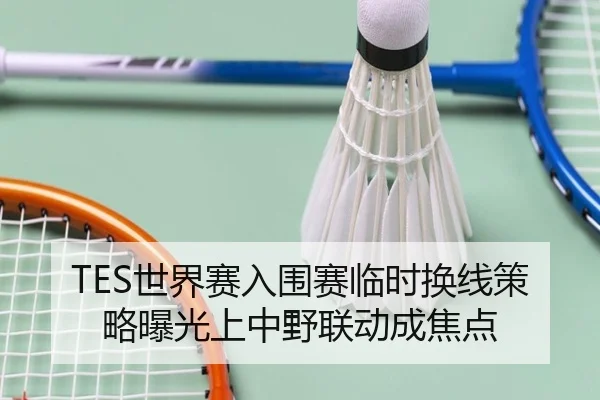 TES世界赛入围赛临时换线策略曝光上中野联动成焦点